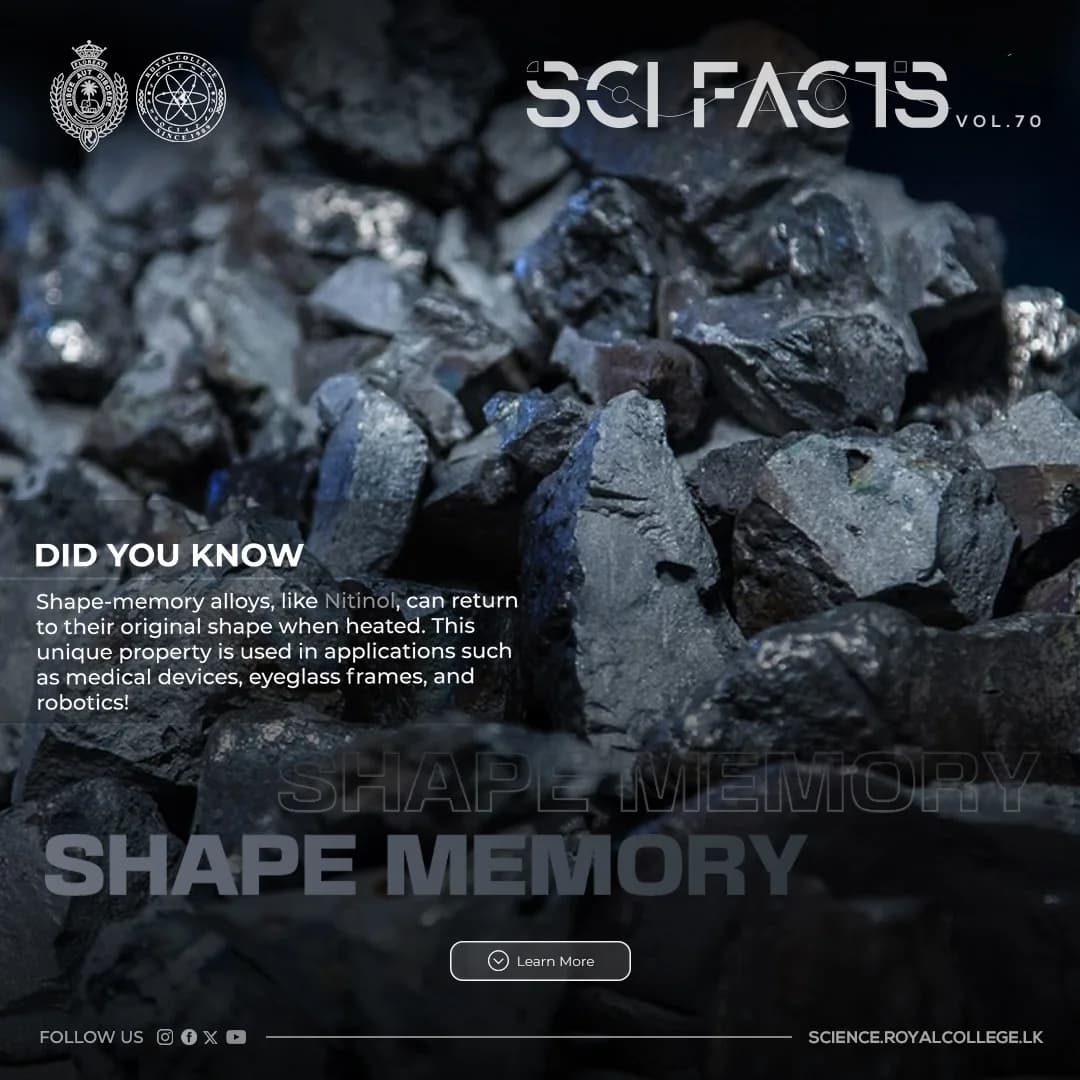 SCI FACTS'25 - Shape Memory