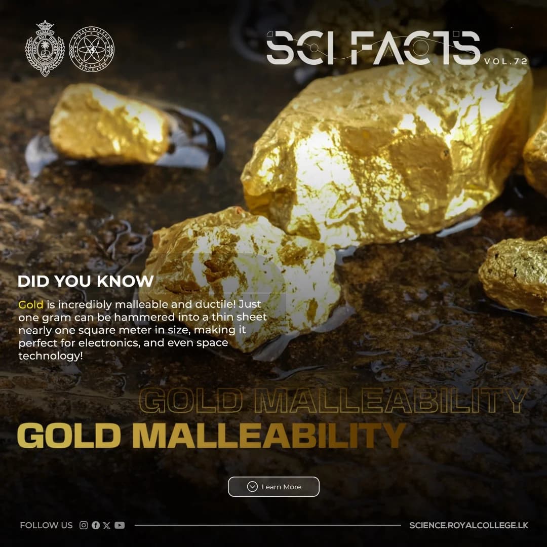 SCI FACTS'25 - Gold Malleability
